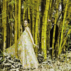 Veruschka by Henry Clarke (1965)