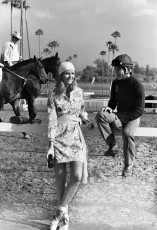 Cheryl Tiegs by Henry Clarke (1971)