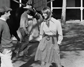 Cheryl Tiegs by Henry Clarke (1971)