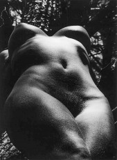 Seas, Beaches, Springs and Torrents, Trees by Lucien Clergue (1973)