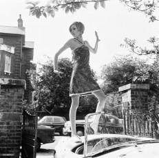 Twiggy by Terry Disney (1966)