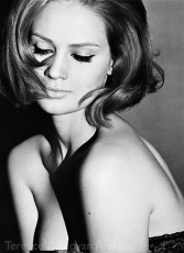 Celia Hammond by Terence Donovan (1962)