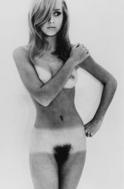 Nude by Terence Donovan (1967)