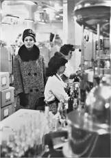 Celia Hammond by Richard Dormer (1962)