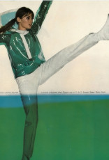 Jean Shrimpton by Brian Duffy (1966)