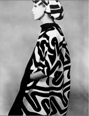 Birgitta af Klercker by Louis Faurer (1965)