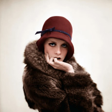 Twiggy by Terry Fincher (1966)