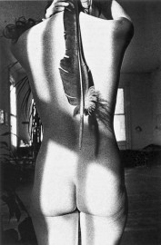 Sheila's Feather (New York) by Ralph Gibson (1968)