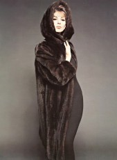 Wilhelmina Cooper by F.C. Gundlach (1964)