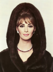 Wilhelmina Cooper by F.C. Gundlach (1964)