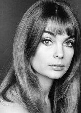 Jean Shrimpton by William Helburn (1967)