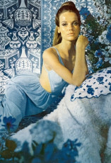 Veruschka by Horst P. Horst (1965)