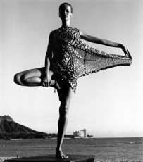 Veruschka by Horst P. Horst (1965)