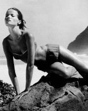 Veruschka by Horst P. Horst (1965)