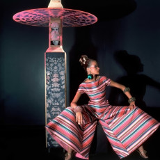 Veruschka by Horst P. Horst (1966)