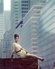 Simone d'Aillencourt by Horst P. Horst (1962)