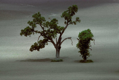 California, USA, two oak trees by Frank Horvat (1978)