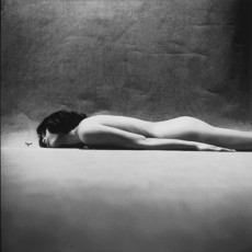 The bee and the woman by Eikoh Hosoe (1964)