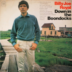 Billy Joe Royal / DOWN IN THE BOONDOCKS (1965) - photo by Don Hunstein