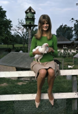 Jean Shrimpton by David Hurn (1966)