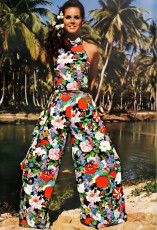 Birgitta af Klercker by Bill King (1967)