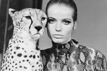 Veruschka by William Klein (1967)