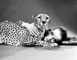 Veruschka by William Klein (1967)