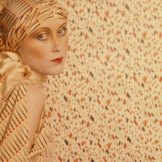 Vivienne Lynn by Barry Lategan (1974)