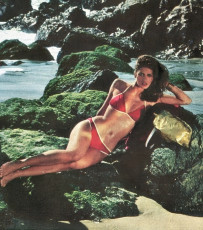 Gia Carangi by Stan Malinowski (1979)