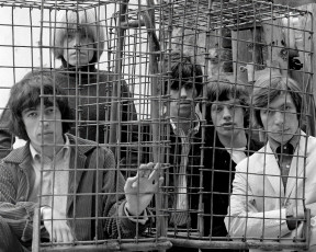 The Rolling Stones, London by Gered Mankowitz (1965)