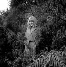 Marianne Faithfull, London by Gered Mankowitz (1964)