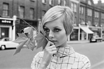 Twiggy by Stan Meagher (1966)