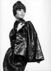 Veruschka by Johnny Moncada (1963)