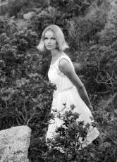 Veruschka by Johnny Moncada (1963)