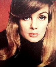 Jean Shrimpton by David Montgomery (1964)