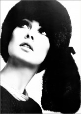 Jean Shrimpton by David Montgomery (1964)