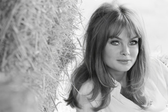 Jean Shrimpton by Terry O’Neill (1963)