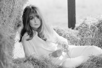 Jean Shrimpton by Terry O’Neill (1963)