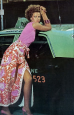 Lisa Taylor by Helmut Newton (1975)