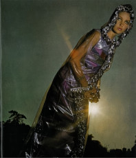 Donna Mitchell by Helmut Newton (1966)