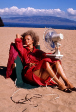 Cheryl Tiegs by Helmut Newton (1974)