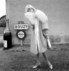 Nena von Schlebrugge by Norman Parkinson (1960)