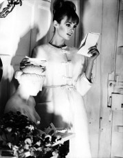 Jean Shrimpton by Norman Parkinson (1964)