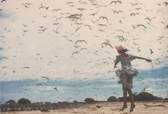 Apollonia van Ravenstein by Norman Parkinson (1971)