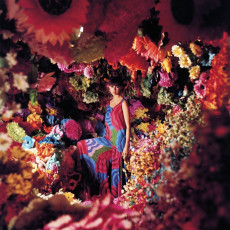 Katherine Pastrie by Norman Parkinson (1966)