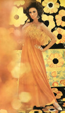 Wilhelmina Cooper by Gordon Parks (1965)