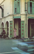 Vivienne Lynn by Harri Peccinotti (1975)