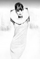 Jean Shrimpton by Irving Penn (1963)