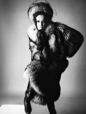 Veruschka by Irving Penn (1963)