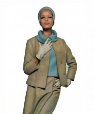 Veruschka by Irving Penn (1965)